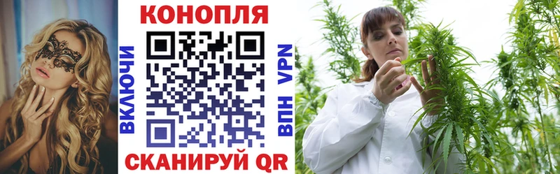 Шишки марихуана гибрид Будённовск